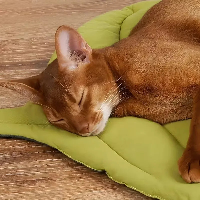 Leaf Shape Reversible Pet Cushion Bed Mat